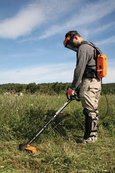 Stihl Brush Cutter, Brush Cutters, BrushCutters, Brush Cutter For Sale,